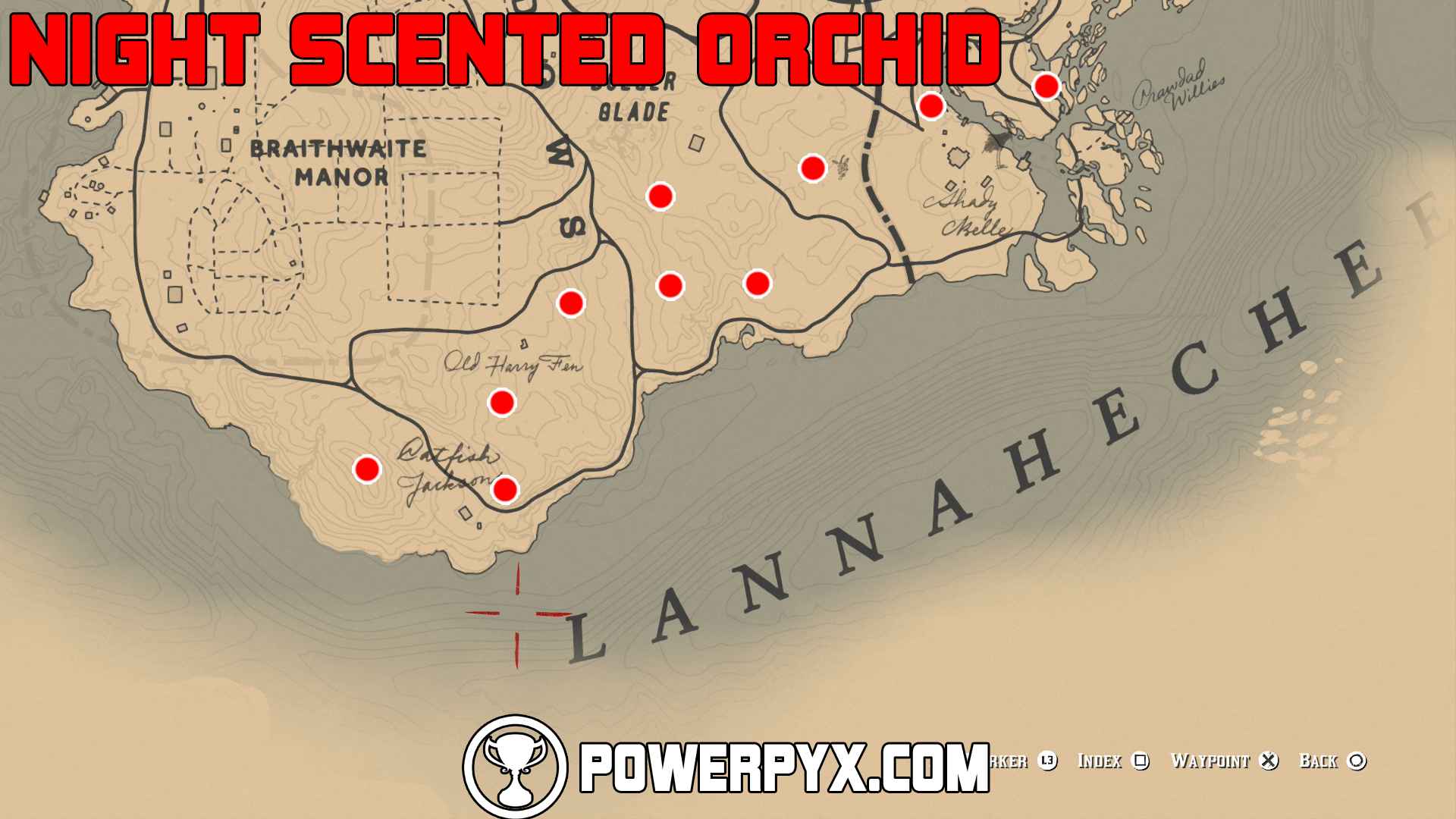 Red Dead Redemption 2 All Exotics Locations