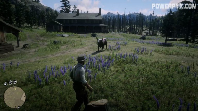 Red Dead Redemption 2 Farming For Beginners Walkthrough