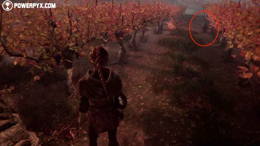 A Plague Tale Innocence: Replaying chapters - is it possible