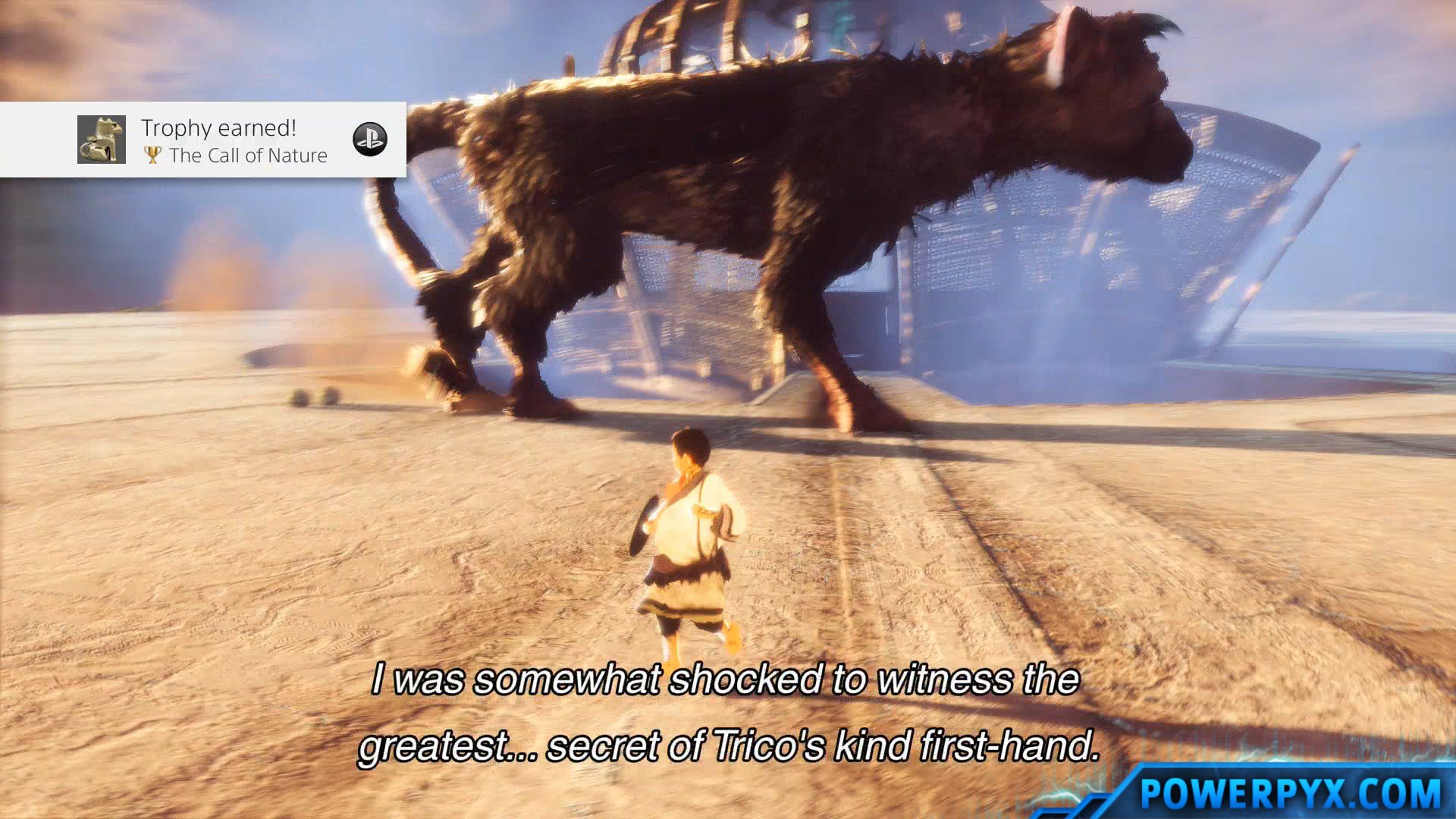 The Last Guardian Trophy Guide & Road Map