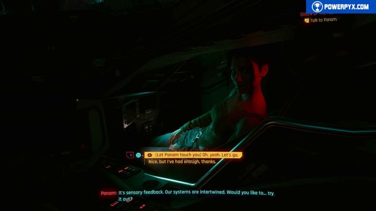 Cyberpunk 2077 Panam Romance Guide 5365