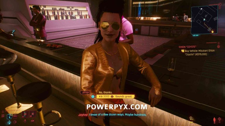 Cyberpunk 2077 Where to find Prostitutes (Joytoy Locations)