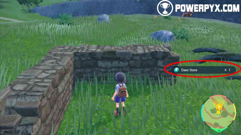 Pokemon Scarlet & Violet: How to Get Dawn Stones and Which Pokemon Evolve  with Them