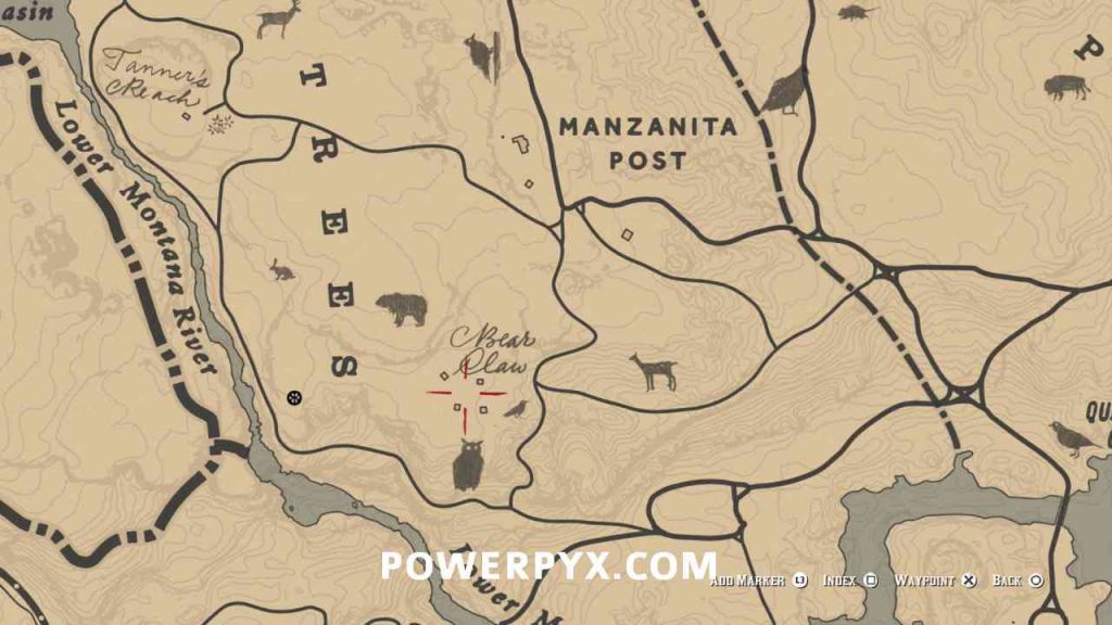 Red Dead Redemption 2 All Animal Locations (Zoologist & Skin Deep)