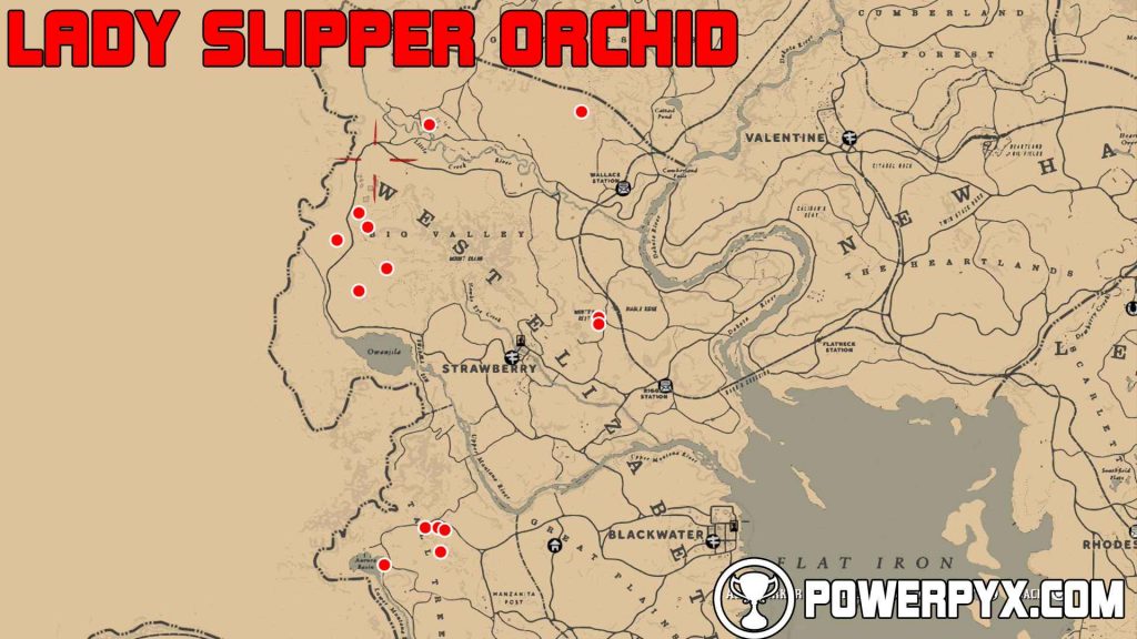 Red Dead Redemption 2 All Exotics Locations