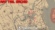 Red Dead Redemption 2 All Exotics Locations