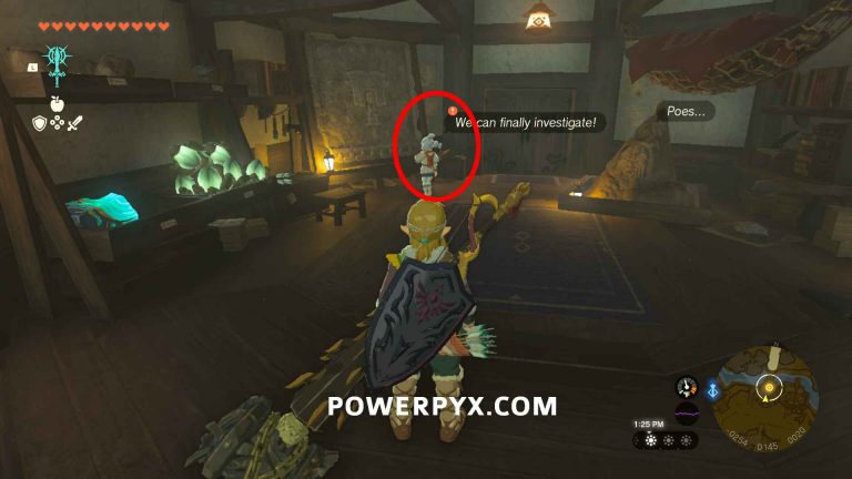 Zelda Tears of the Kingdom A Mystery in the Depths Walkthrough