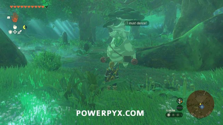 Zelda TOTK Hestu Location   Zelda Tears Of The Kingdom Hestu Location 3 5 768x432 