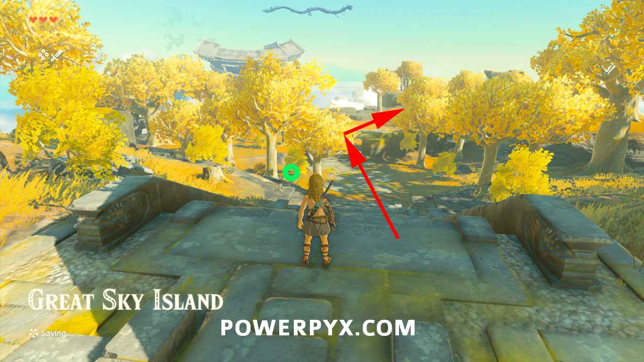 Zelda: Tears of the Kingdom Guide - 8 Important Tips for Starting Out